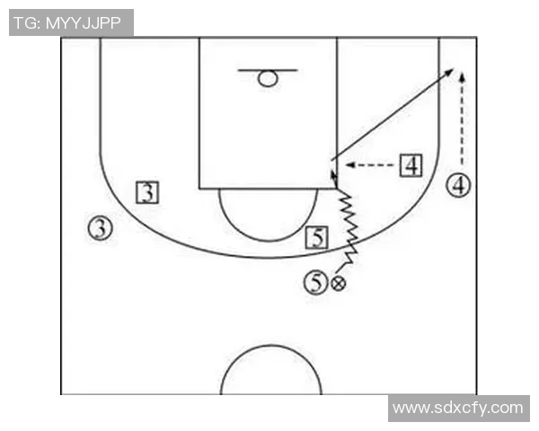 北京排球队的阵地战解析:战术布局与队员配合的深度剖析